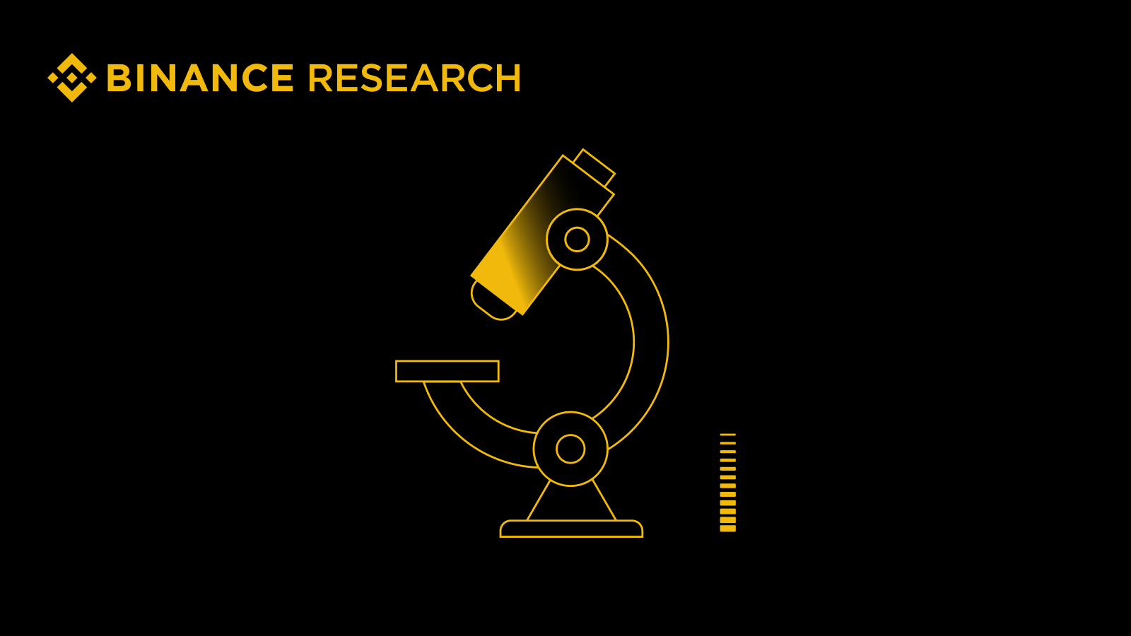 2025全年回顾及2026年展望